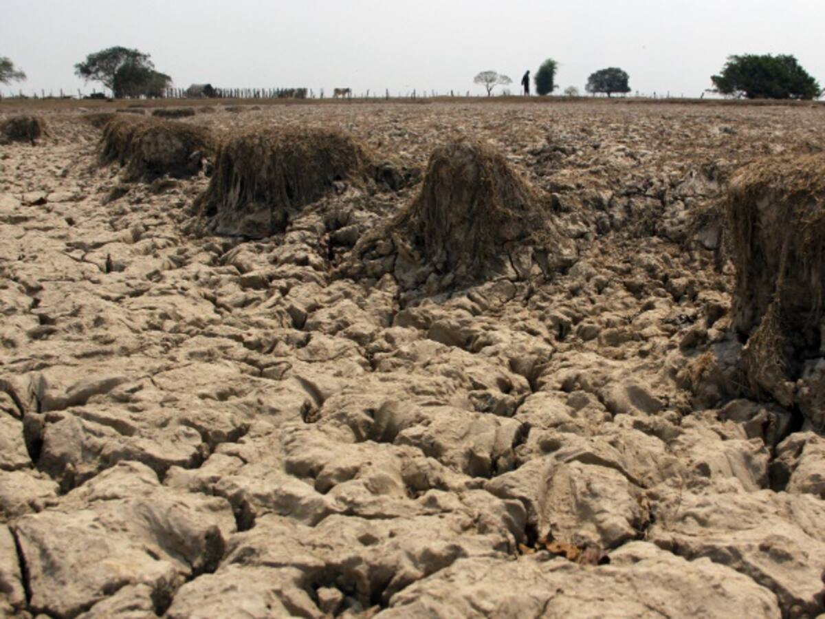 Petro anuncia apoyo de Bogotá a municipios afectados por sequía