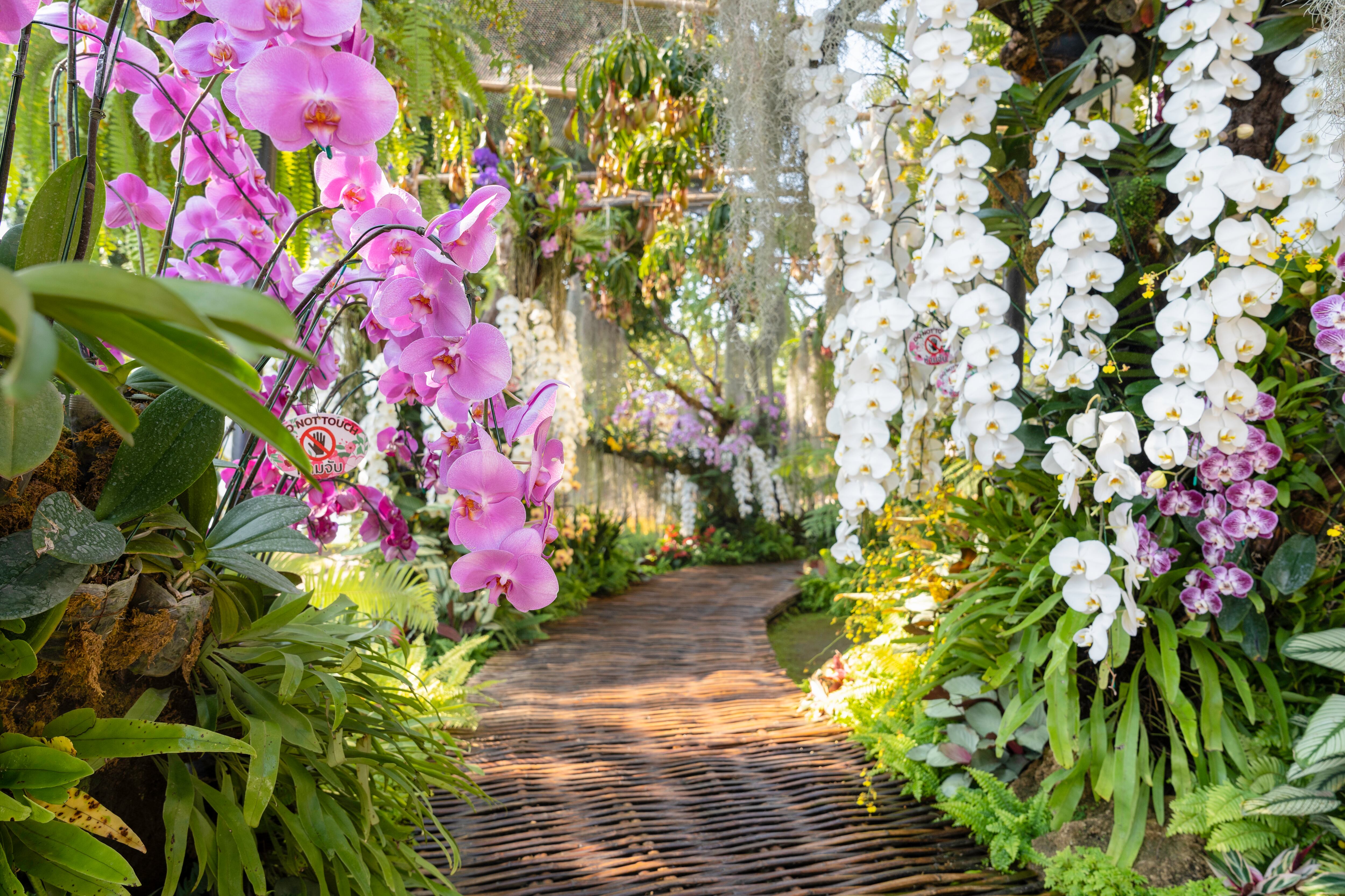 Imagen de referencia vía Getty Images.