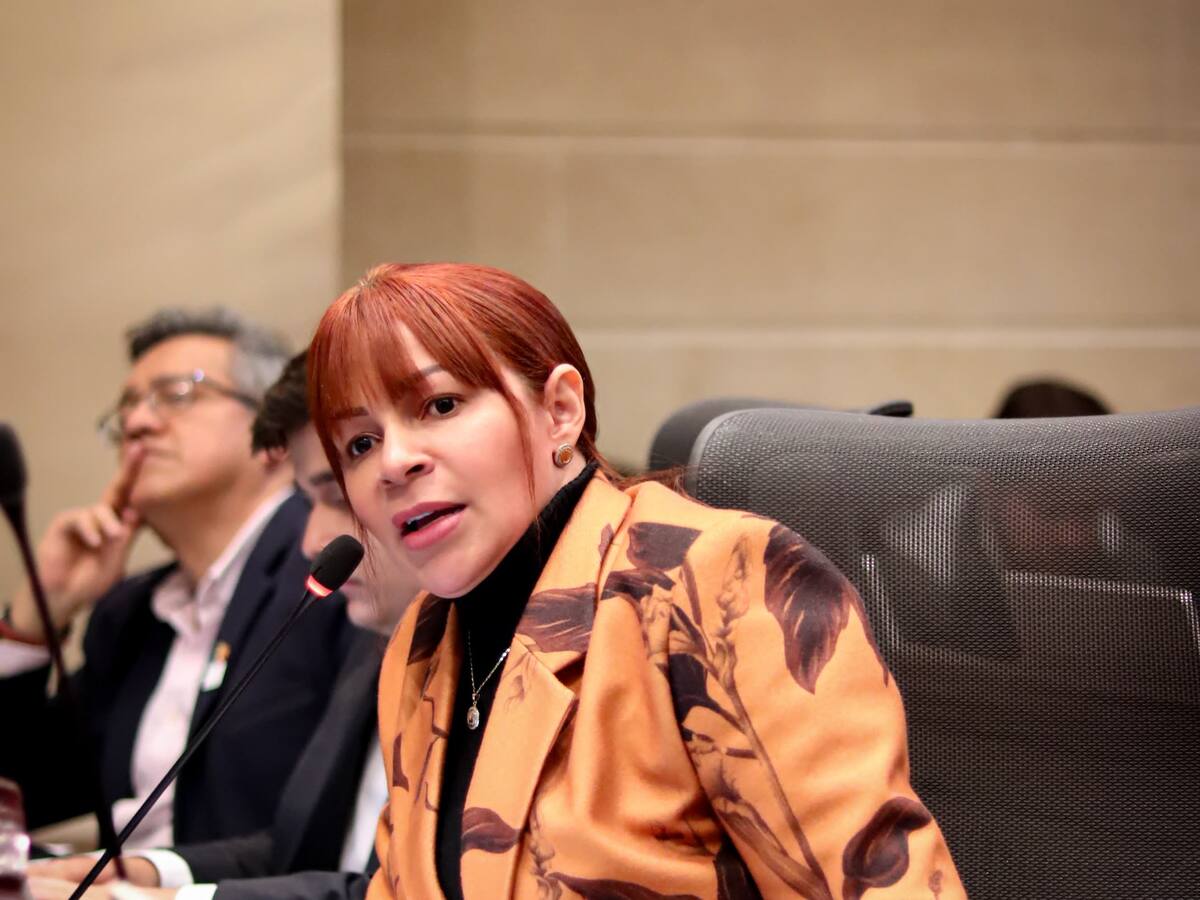 Congresista Aguirre da ultimátum a MinMinas para bajar tarifas de energía en el Caribe