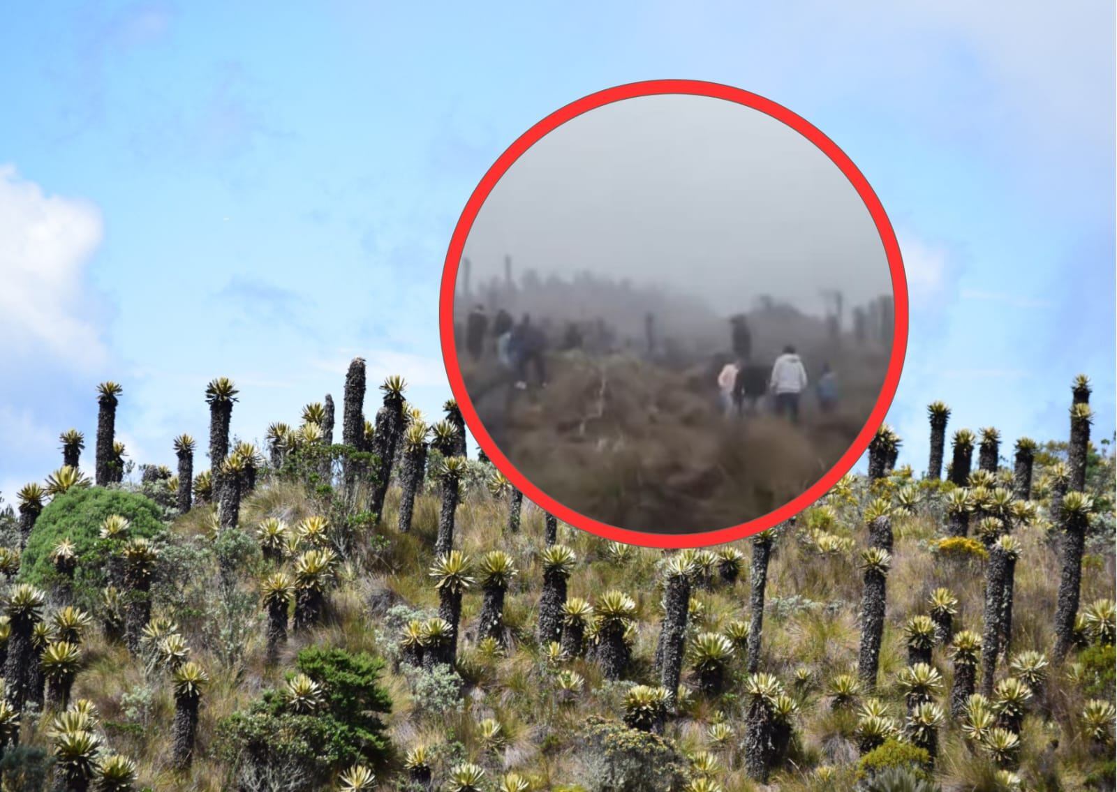 Parque Nacional Natural de los Nevados