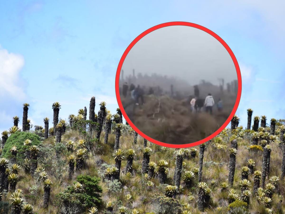 Alertan los impactos del turismo descontrolado en el Parque Nacional Natural Los Nevados