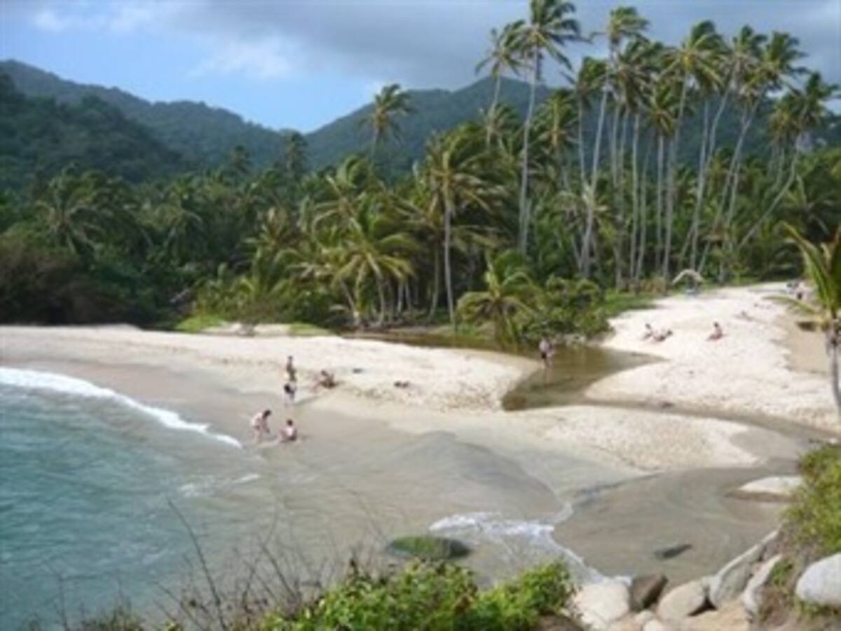 Cinco empresas y una familia se quedaron con el 50 por ciento del Tayrona
