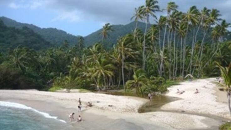 Cinco empresas y una familia se quedaron con el 50 por ciento del Tayrona