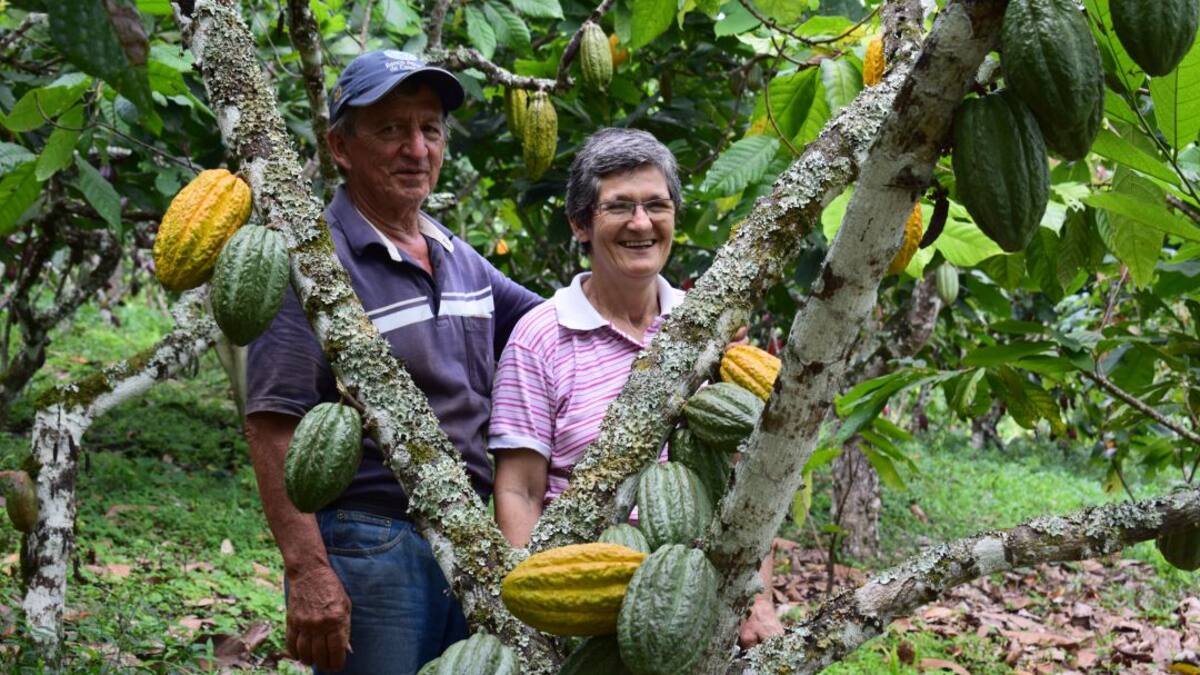 Escuela Militar prestará asesoría jurídica a cacaocultores