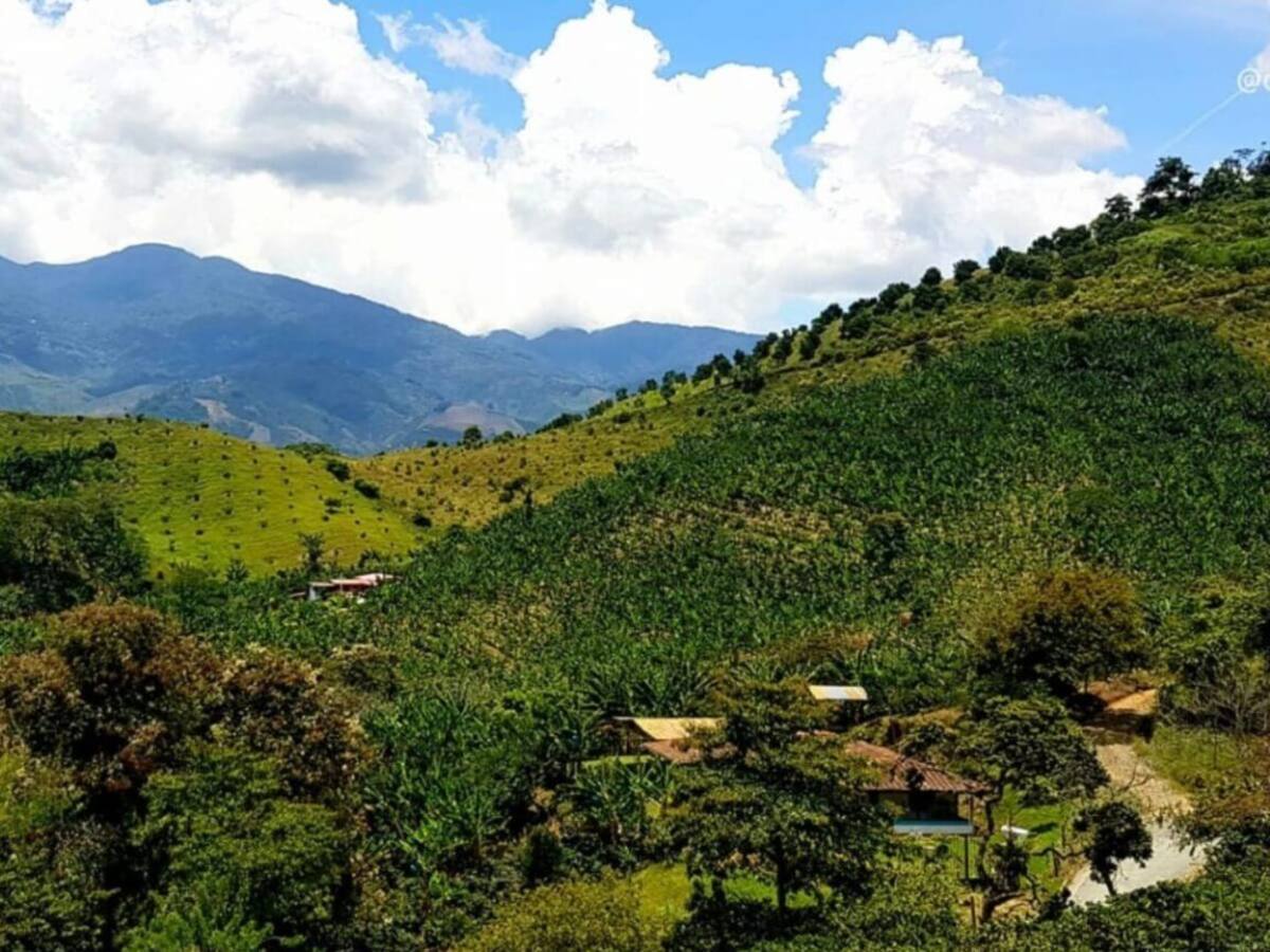 Agencia Nacional de Tierras alerta sobre estafas para entregar predios en Risaralda