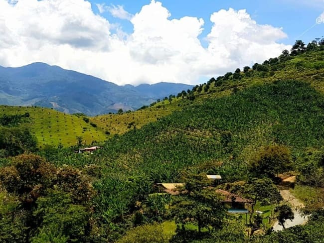 Foto: Agencia Nacional de Tierras - Belén de Umbría.