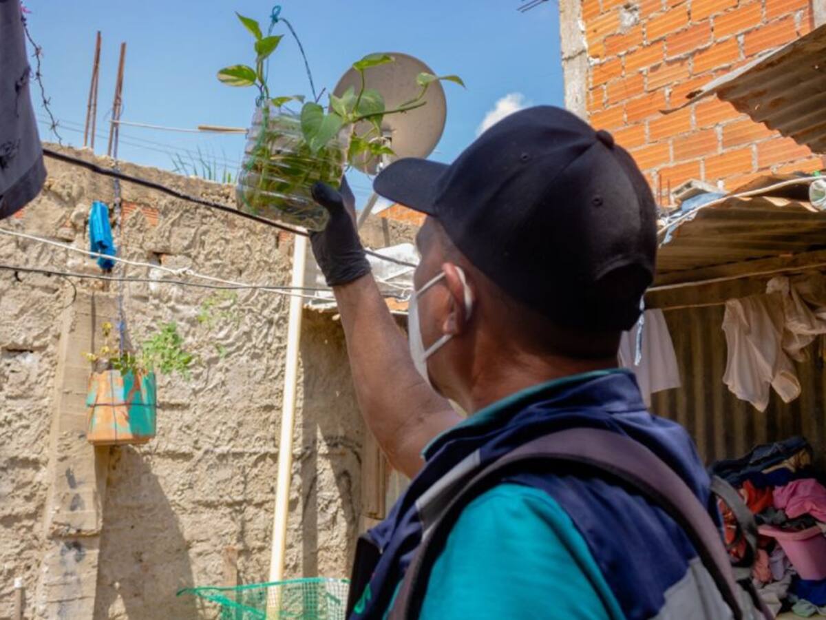 Minsalud acompañó intervención contra el dengue en Cartagena