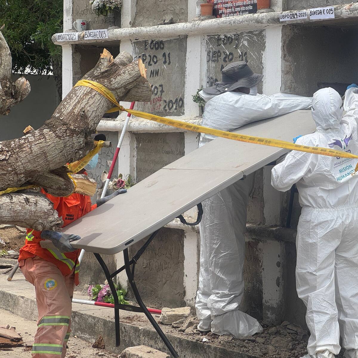Verificados 14 cuerpos durante la intervención al cementerio de Albornoz en Cartagena
