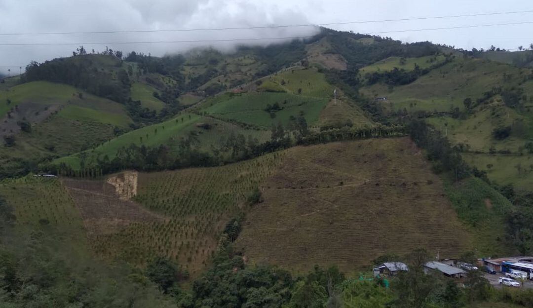 Paisaje en el sector del túnel los Venados en Cajamarca. Proyecto cruce de la cordillera central. 