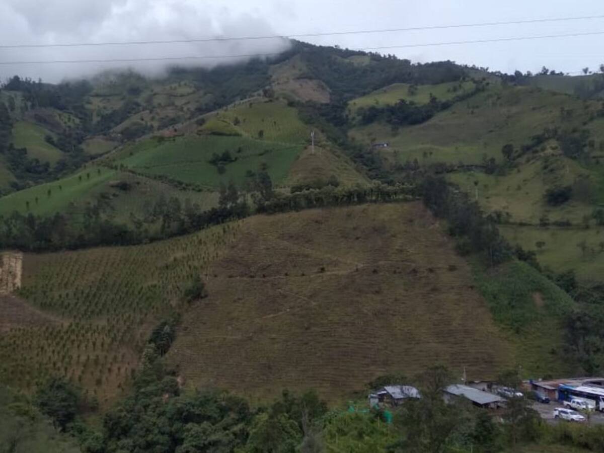 Martes 23 de noviembre, las principales noticias de Armenia y Quindío