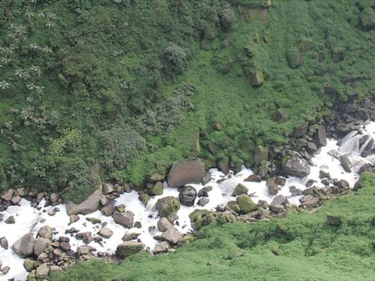 En 5 años estaría limpio el 90% del río Bogotá: CAR