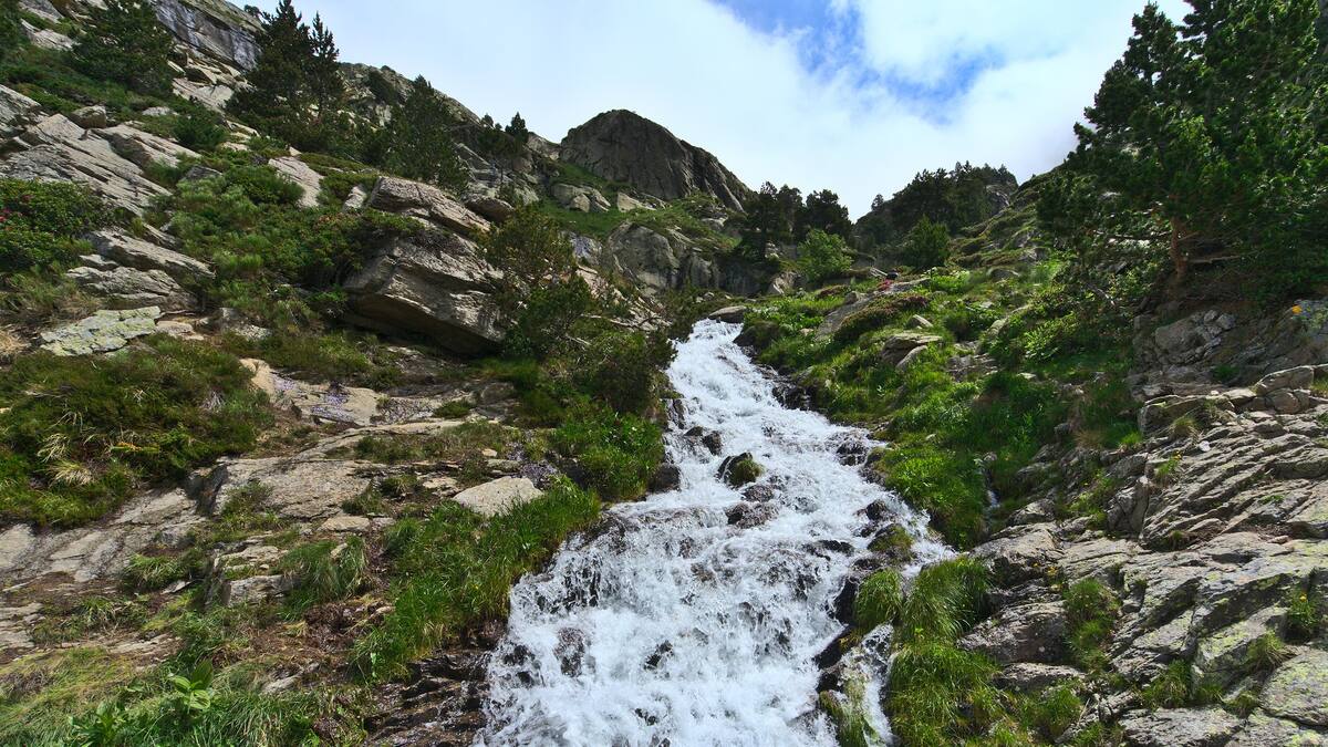Unas candidatas quisieron pasar la quebrada a pie: encargada del Reinado del Café