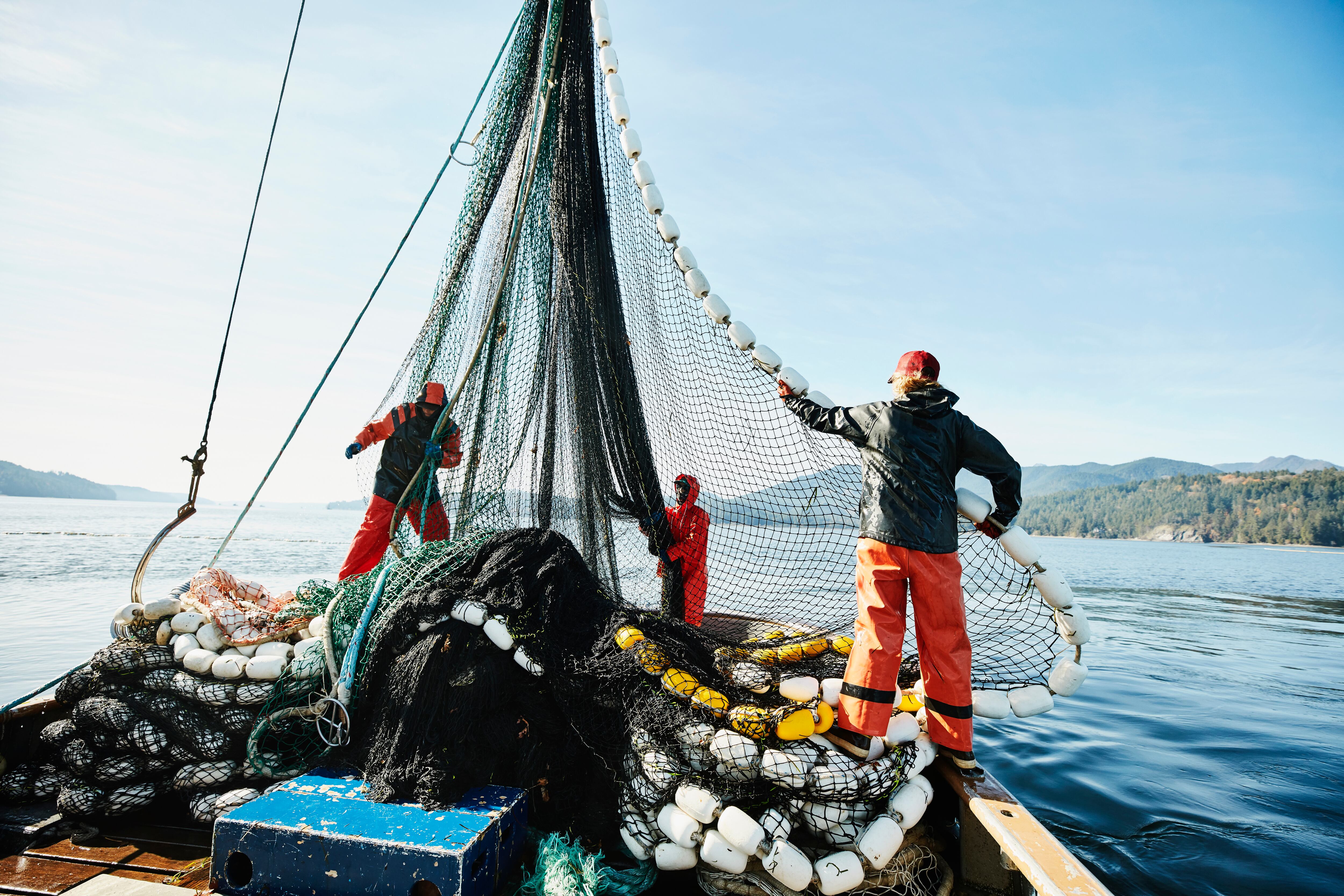 Crew members of purse seiner hauling in net while fishing for salmon