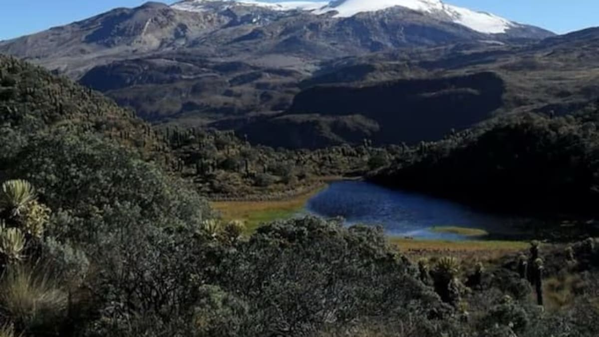 Avanza el proceso de compra de predios en zonas aledañas al PNN Los Nevados