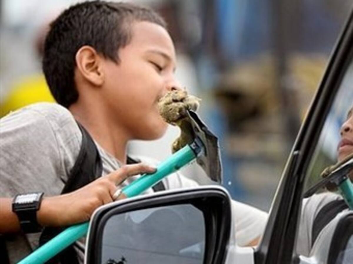 Trabajo infantil preocupa en 11 municipios de Caldas