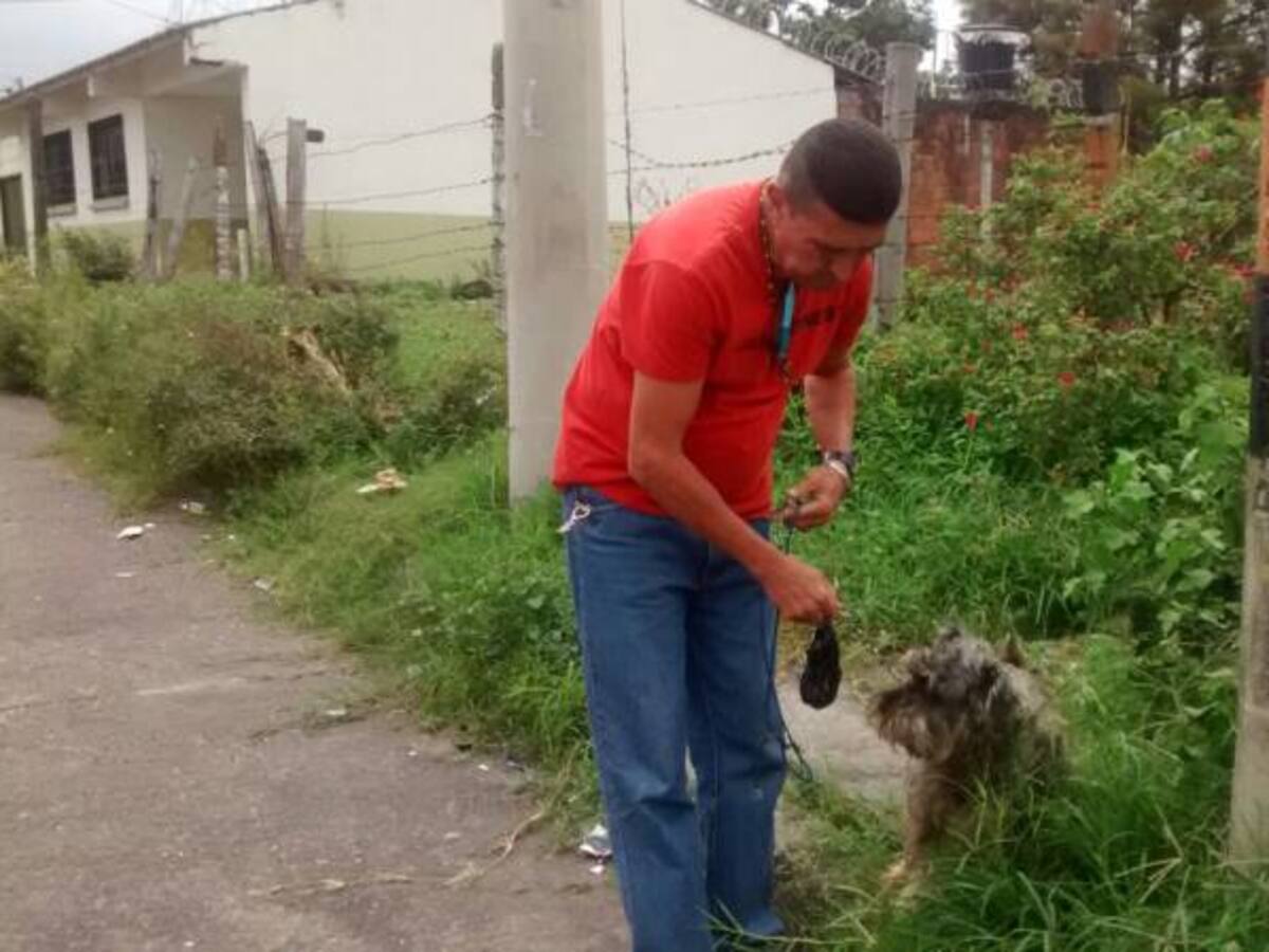 El 32% de los conflictos en los barrios de Armenia los genera el excremento de las mascotas