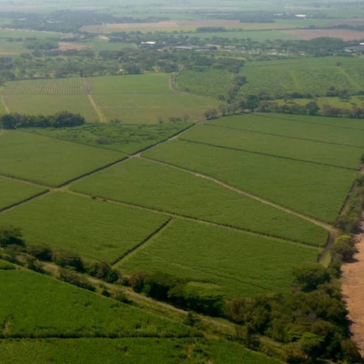 Gremios del Valle, preocupados por impedimentos para reiniciar operaciones