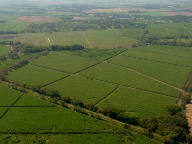 Gremios del Valle, preocupados por impedimentos para reiniciar operaciones