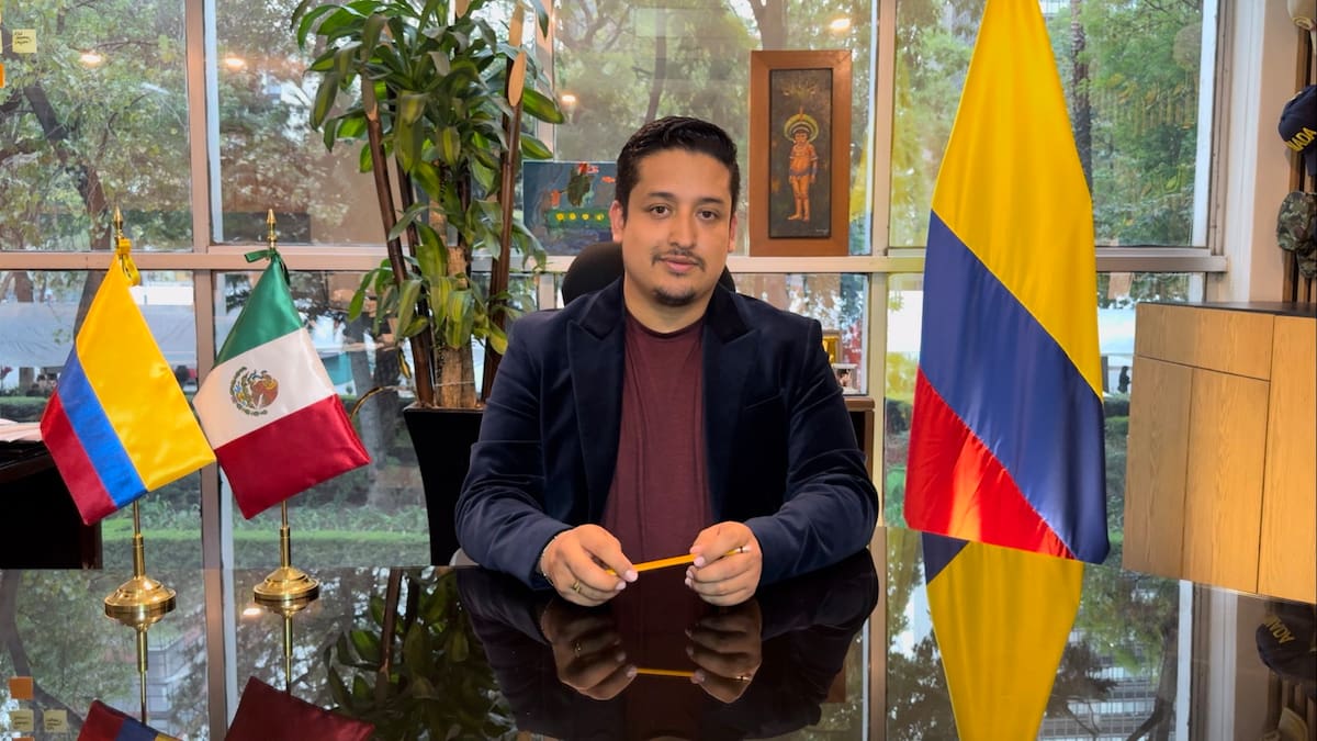 Consejo de Estado anuló el nombramiento de Andrés Camilo Hernández como cónsul en México