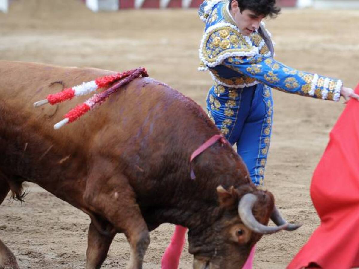 Distrito promoverá proyecto de ley para que se prohíban los toros