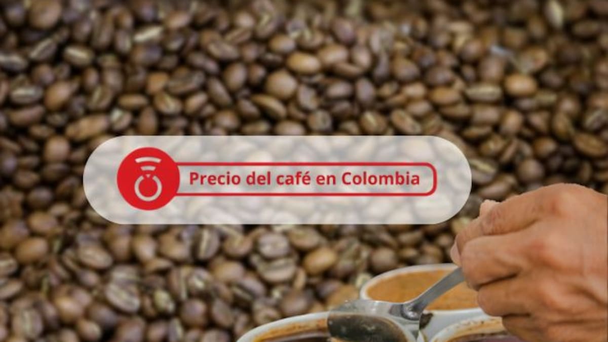 Precio del café HOY 5 de agosto: el grano sigue incrementando