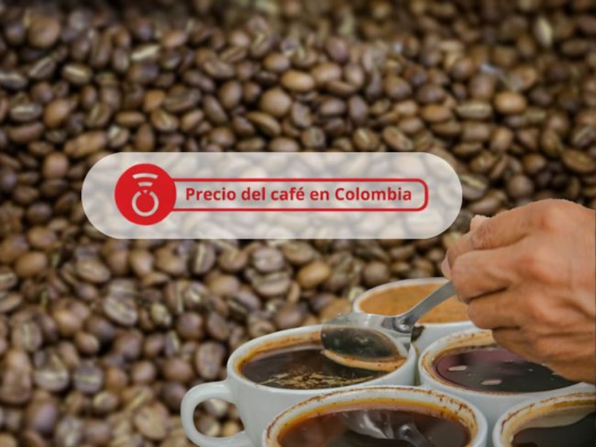 Precio del Café en Colombia HOY 30 de julio: El precio del grano sigue cayendo