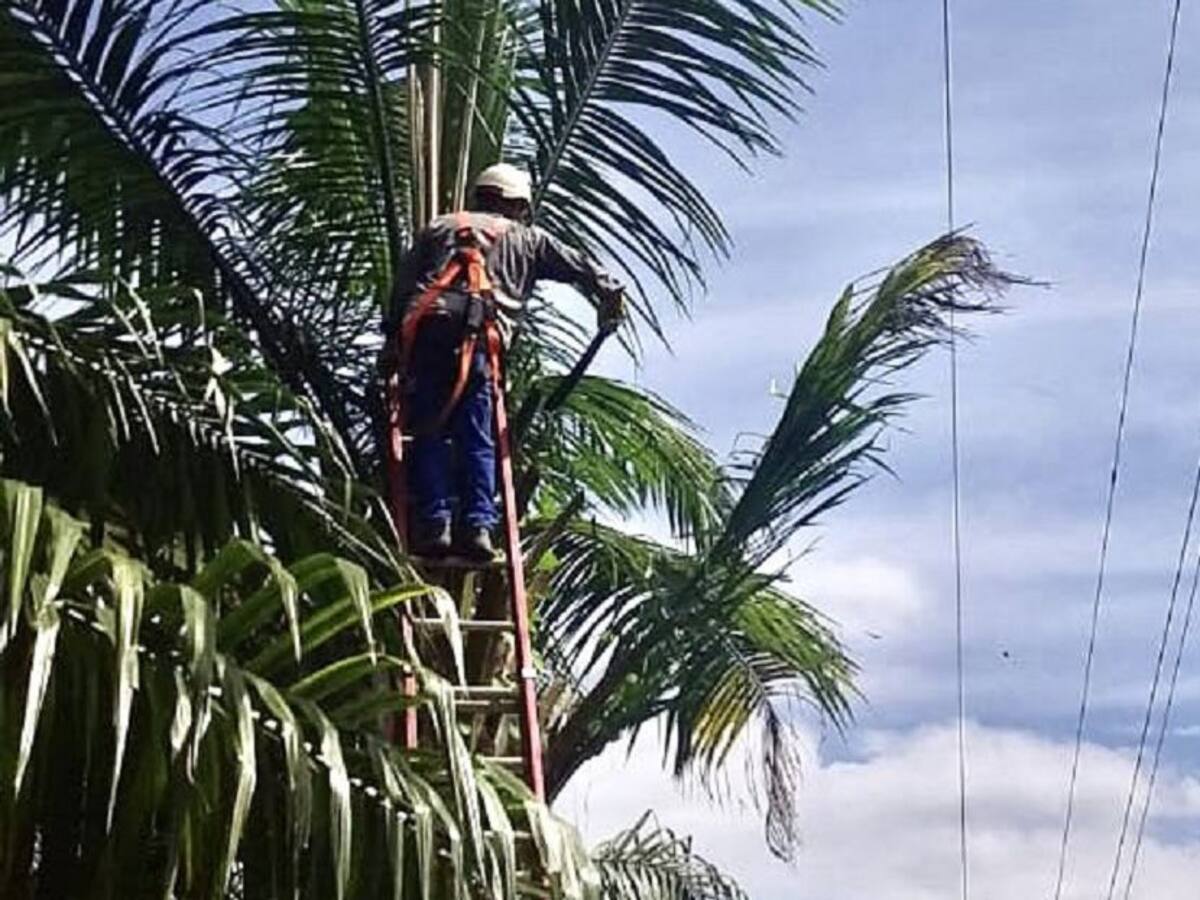 Afinia realizará parada técnica en municipios de Bolívar este lunes festivo