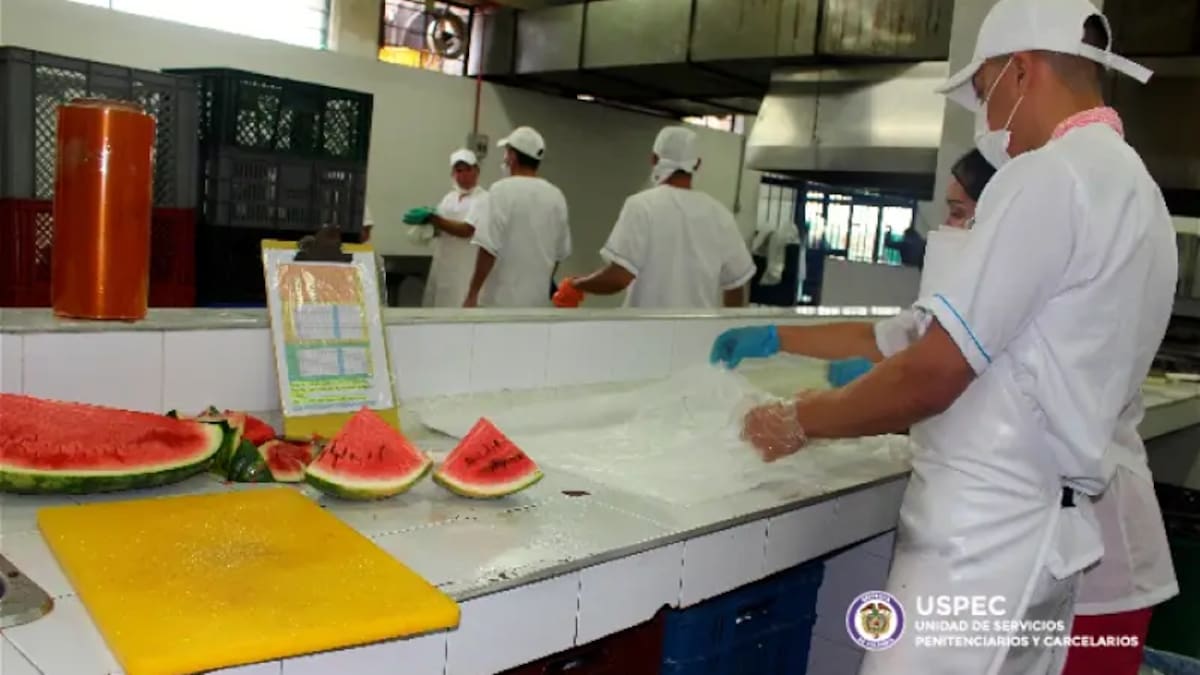 Asocapitales y Asointermedias celebran acuerdo para que no se suspenda alimentación en URI
