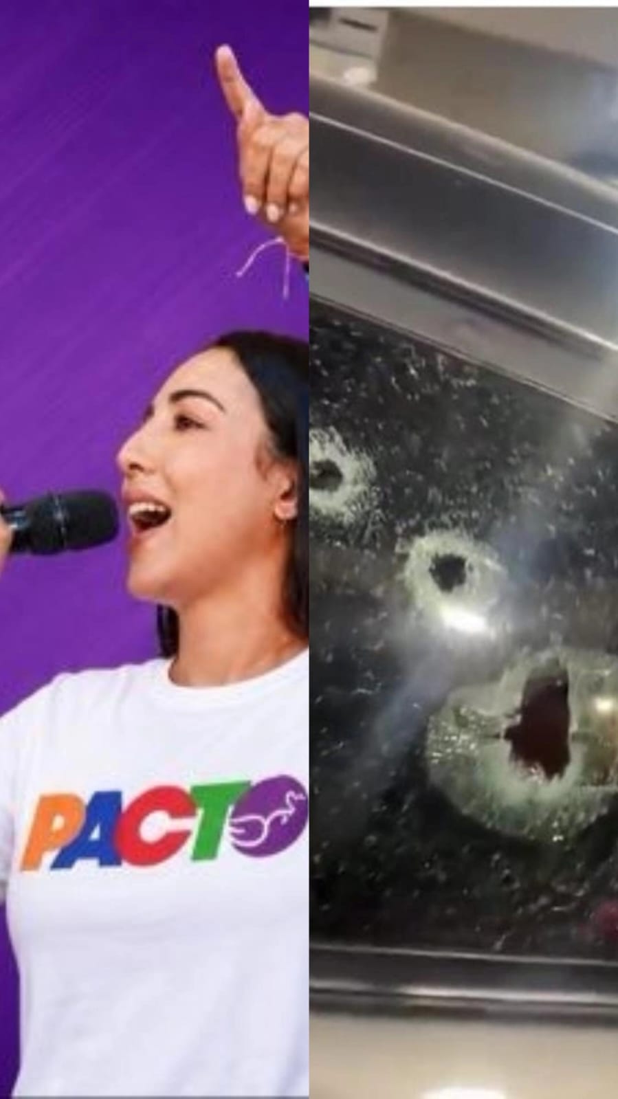 Nailea Barros representante del Pacto Histórico por el Magdalena víctima de atentado/ Cortesía
