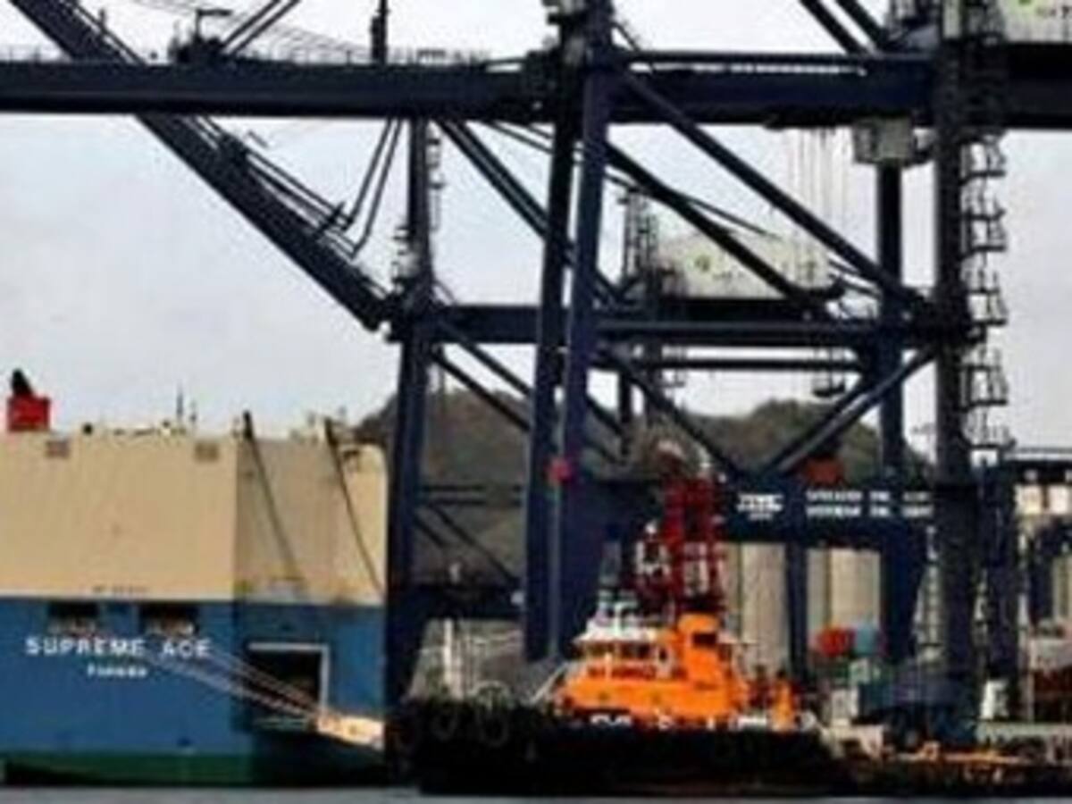 Estamos preparando paro cívico contra los TLC: Marcha Patriótica