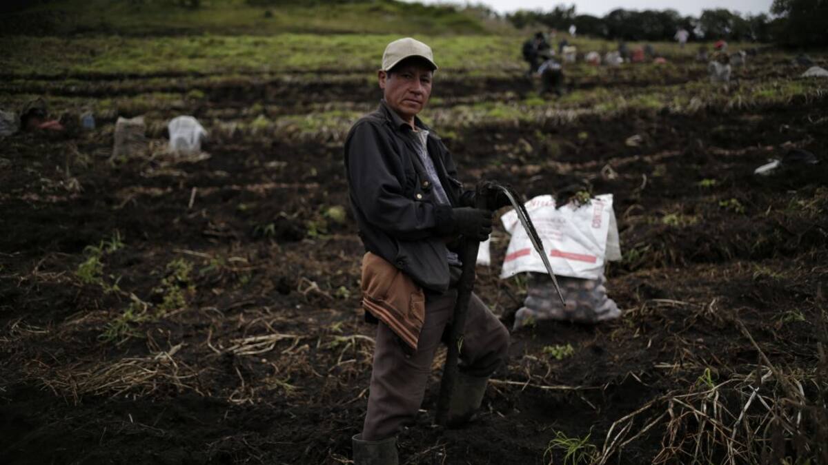 Con la posesión de Petro campesinos insisten en una política agraria