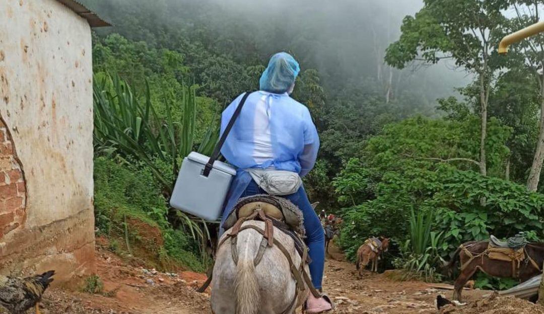 Vacunas contra el COVID-19