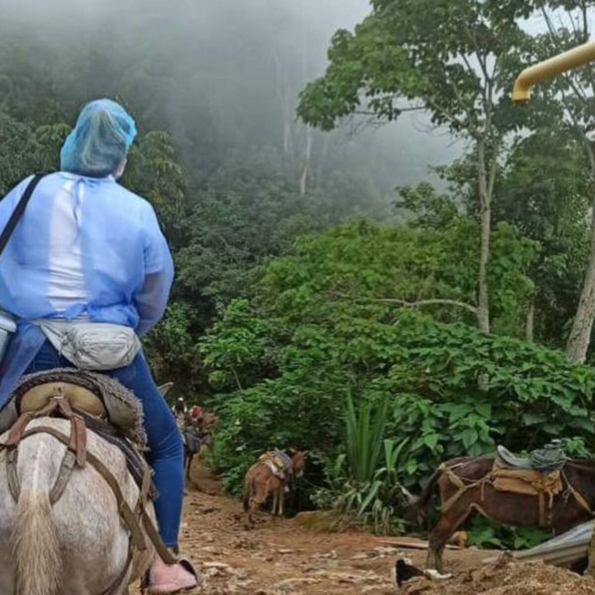 Así es la vacunación contra el COVID-19 en la Sierra Nevada de Santa Marta