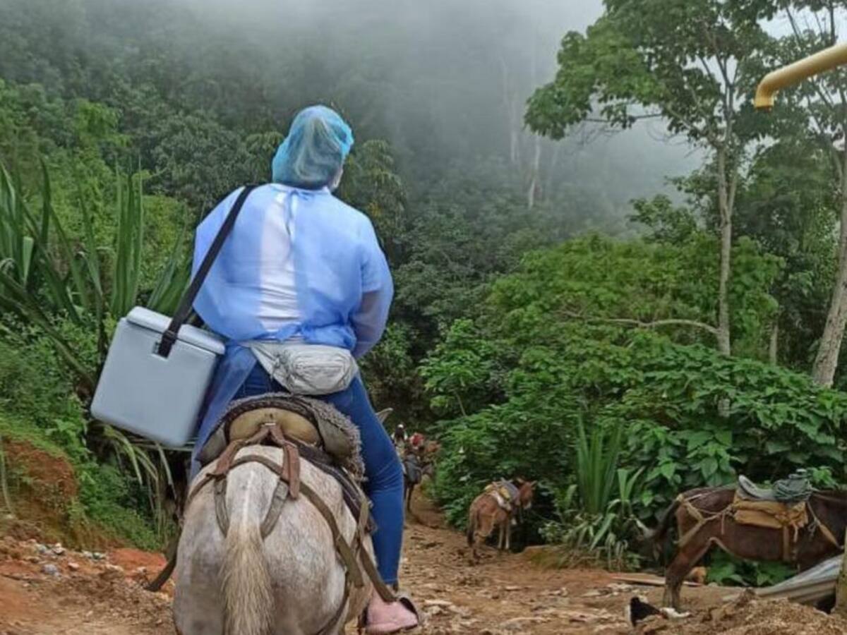 Así es la vacunación contra el COVID-19 en la Sierra Nevada de Santa Marta