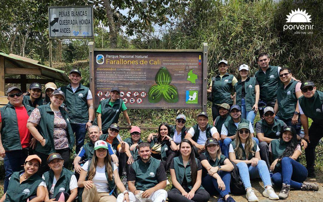 Acciones que las empresas pueden hacer para mitigar el cambio climático