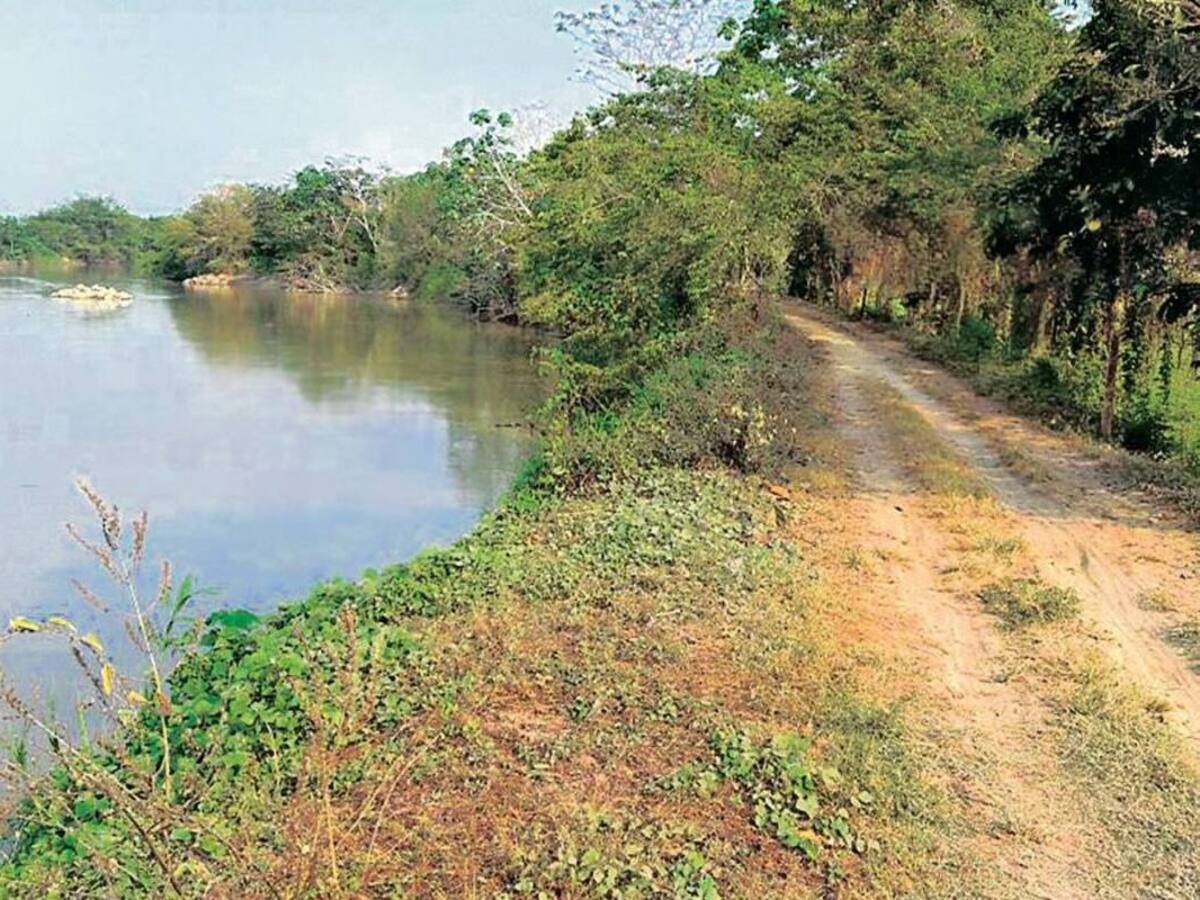 Daños en jarillón tiene en riesgo a más de 2.000 familias de Rionegro