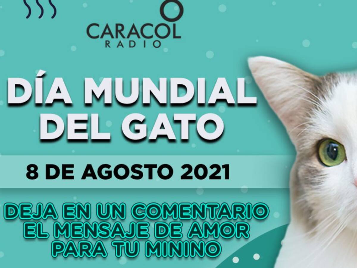 Escuche el programa Mascotas Caracol 07 de agosto
