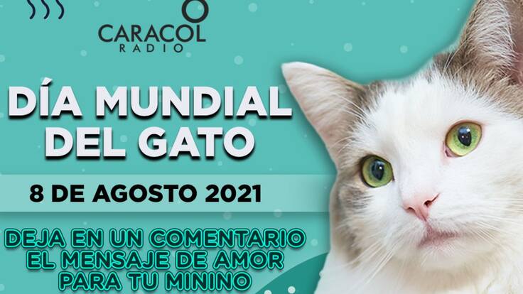 Escuche el programa Mascotas Caracol 07 de agosto