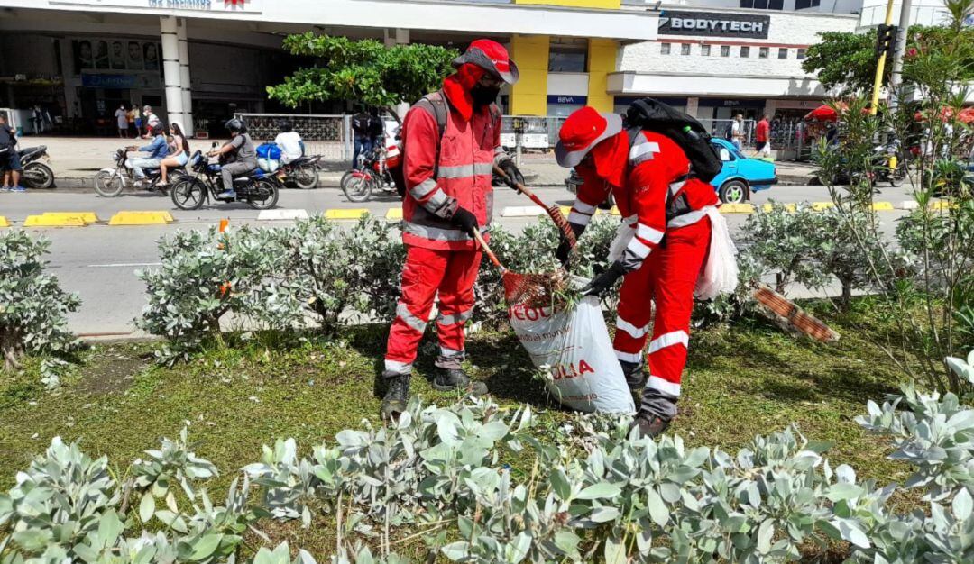 Se ejecutaron las actividades de recolección de residuos ordinarios e inservibles, poda de árboles y corte de césped.