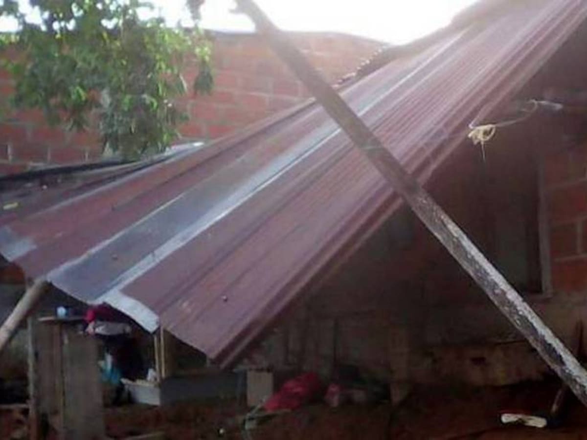 Llega la temporada de fuertes vientos: Autoridades entregan recomendaciones