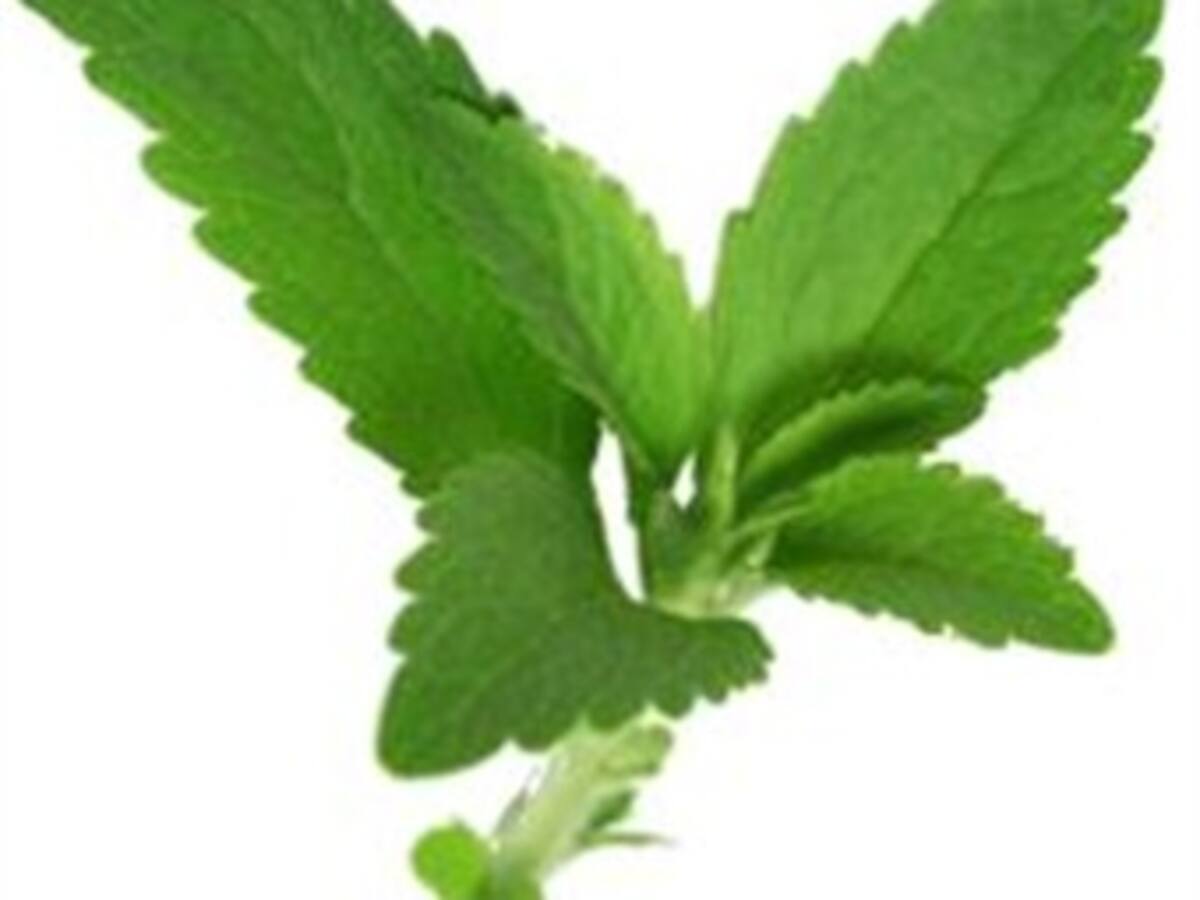 'Azucar Verde', 100% natural