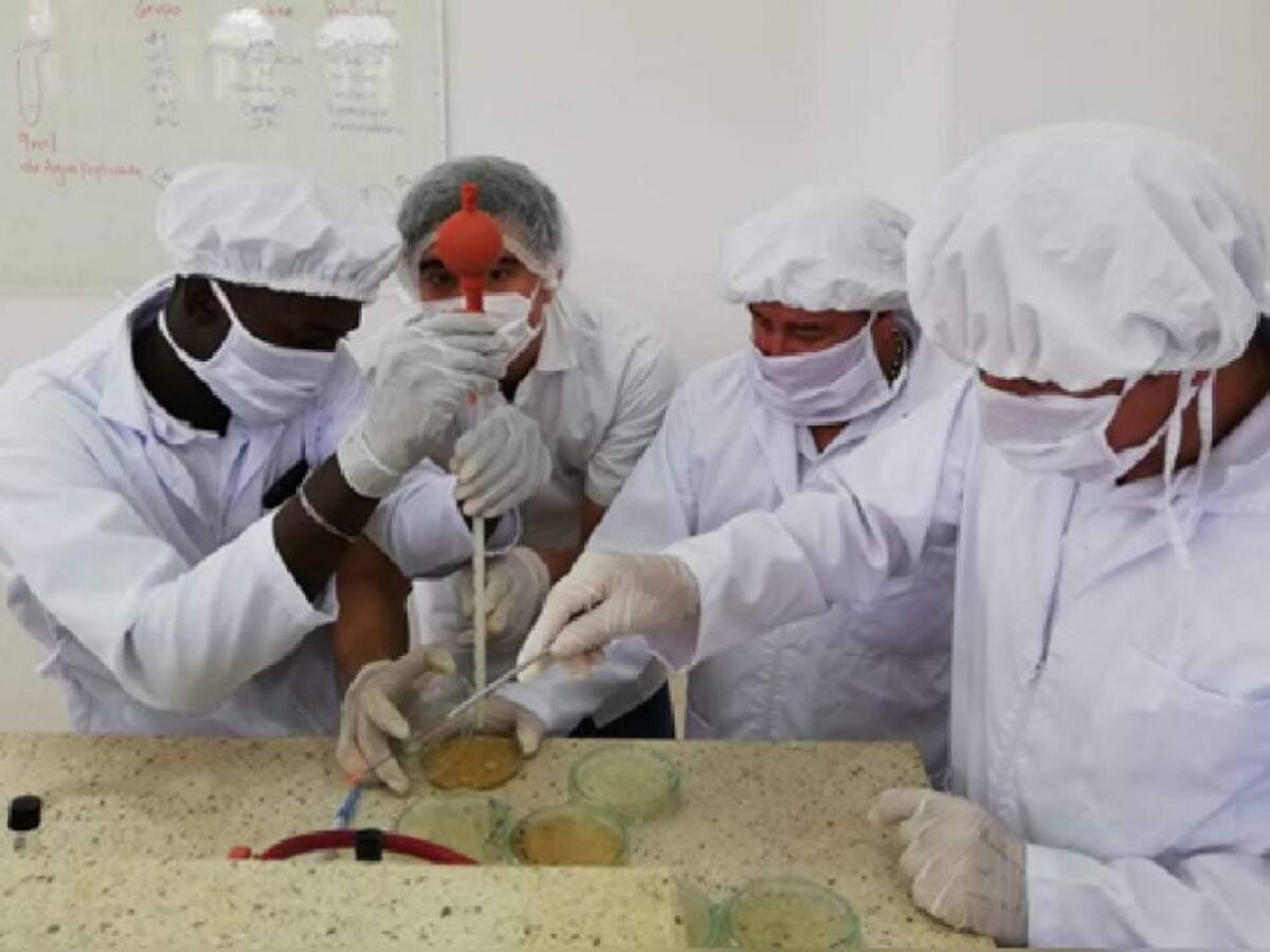 Reincorporación en el Eje Cafetero será analizada