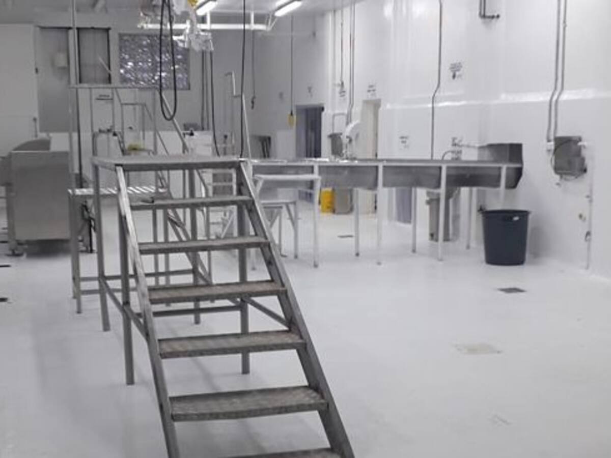 Seis plantas de sacrificio animal abrirán antes de terminar el 2023 en Caldas