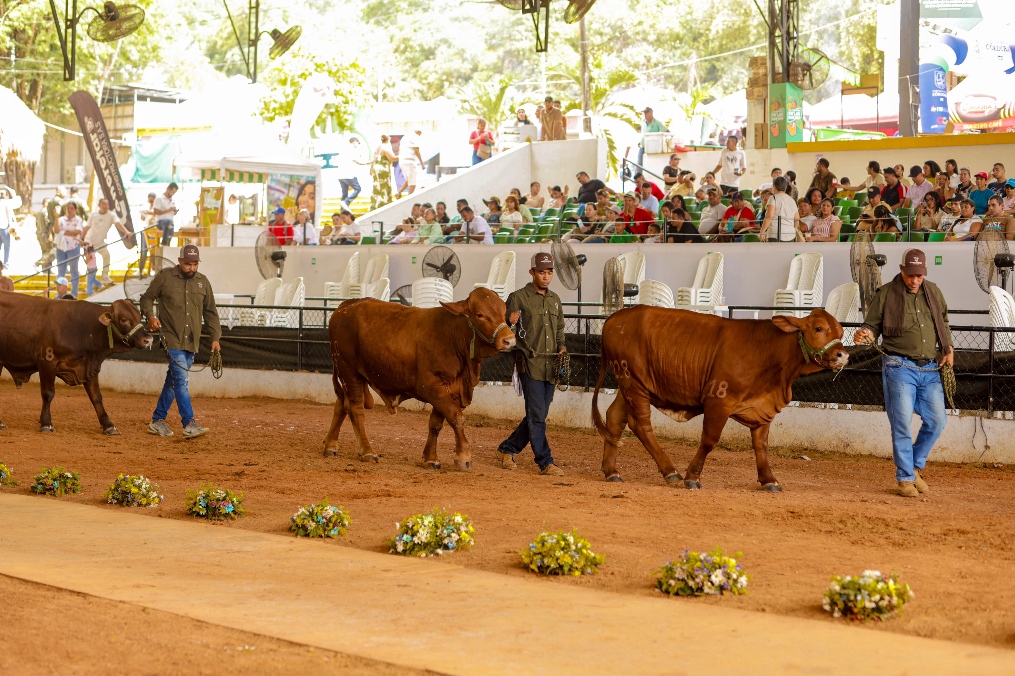 Anuncian fecha para la realización de la Feria Nacional e Internacional de la Ganadería en 2027. Foto: prensa Gobernación de Córdoba.