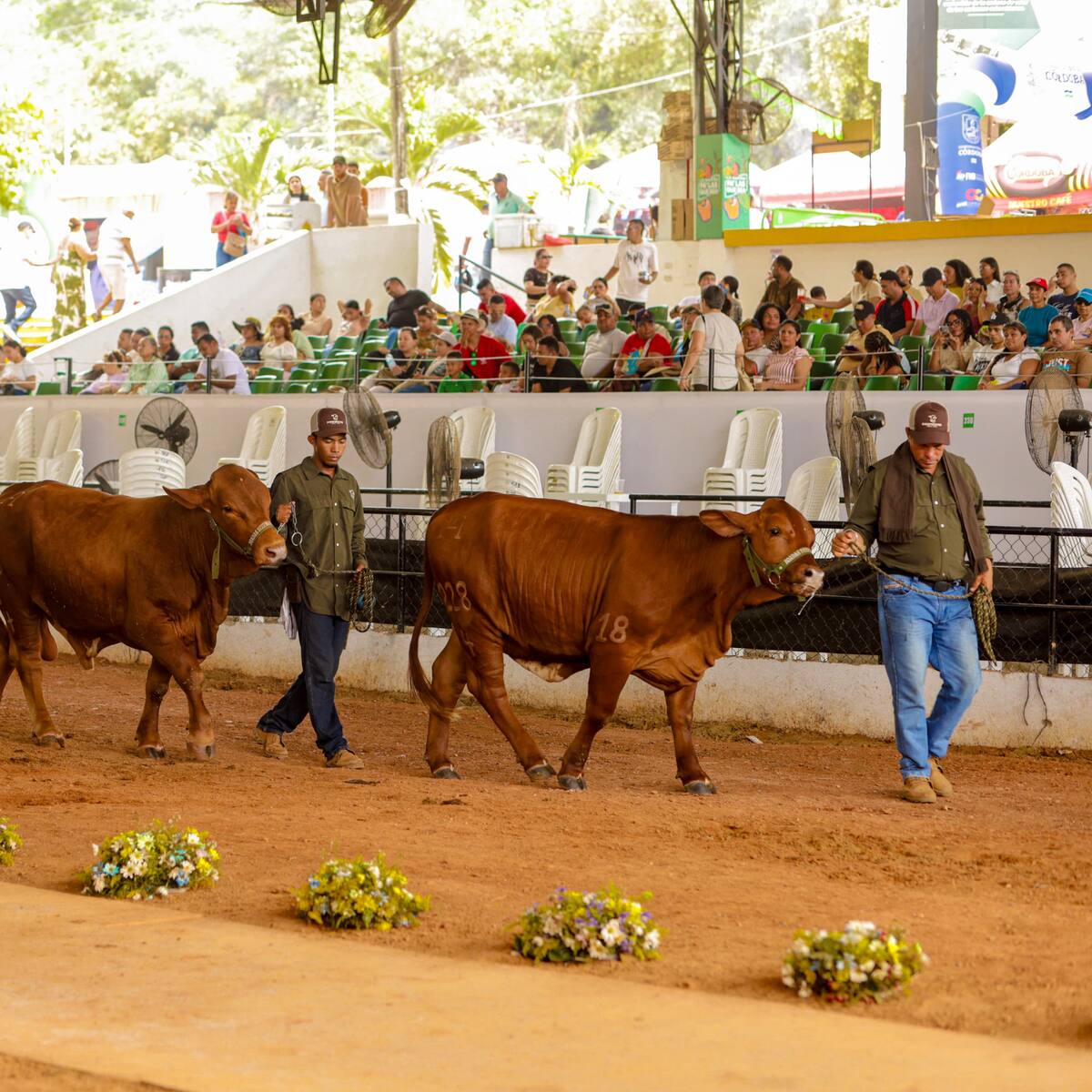 Anuncian fecha para la realización de la Feria Nacional e Internacional de la Ganadería en 2027