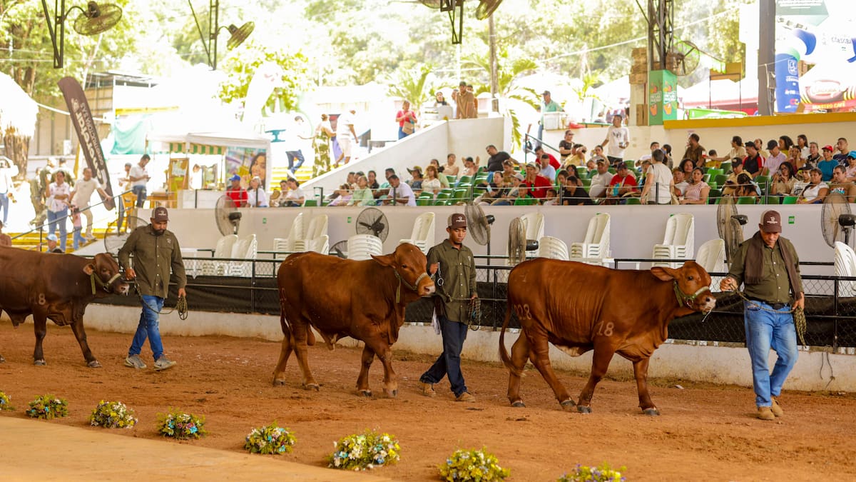 Anuncian fecha para la realización de la Feria Nacional e Internacional de la Ganadería en 2027