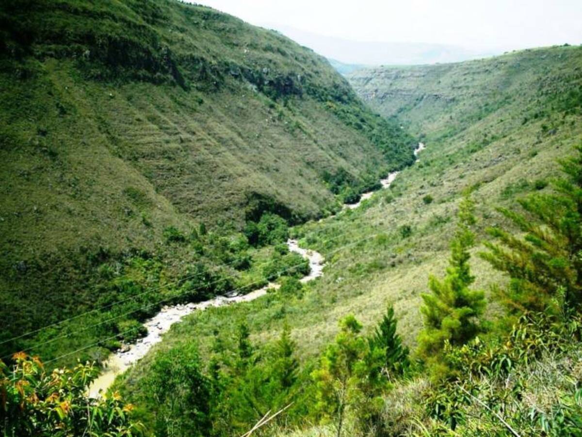 Río Mogoticos, otra "víctima" de los títulos mineros