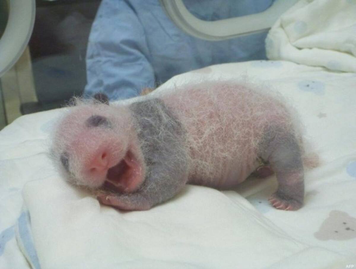 Foto:http://www.huffingtonpost.es/