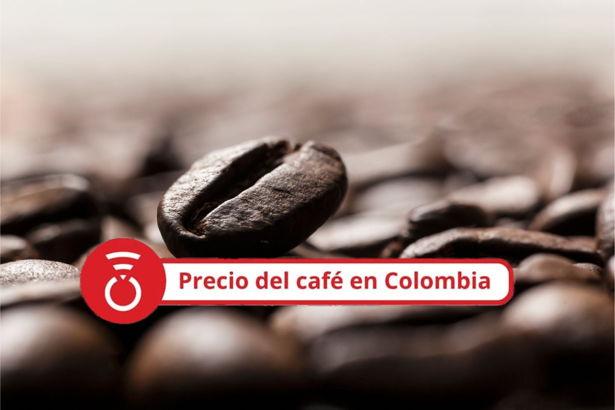 Primer plano de un grano de café. Foto Getty Images