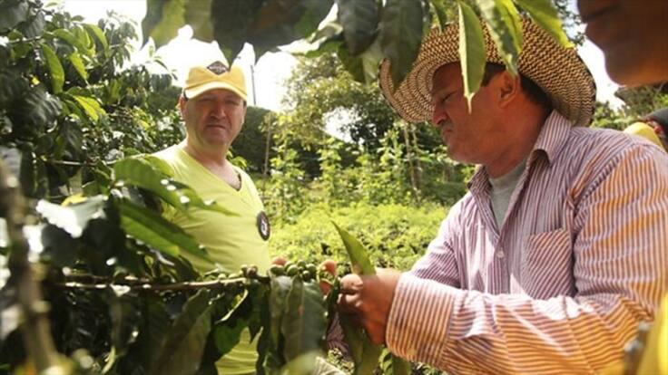Cafeteros no deben angustiarse por desmonte del PIC: Minagricultura